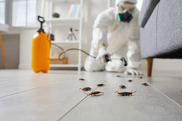 Commercial Kitchen Cockroach Control in Buchanan Dam